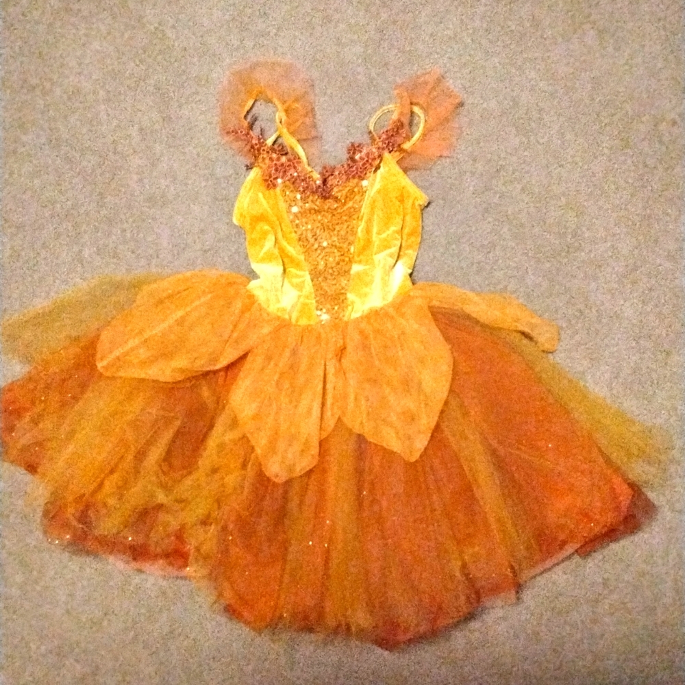Sequence Dance Dress